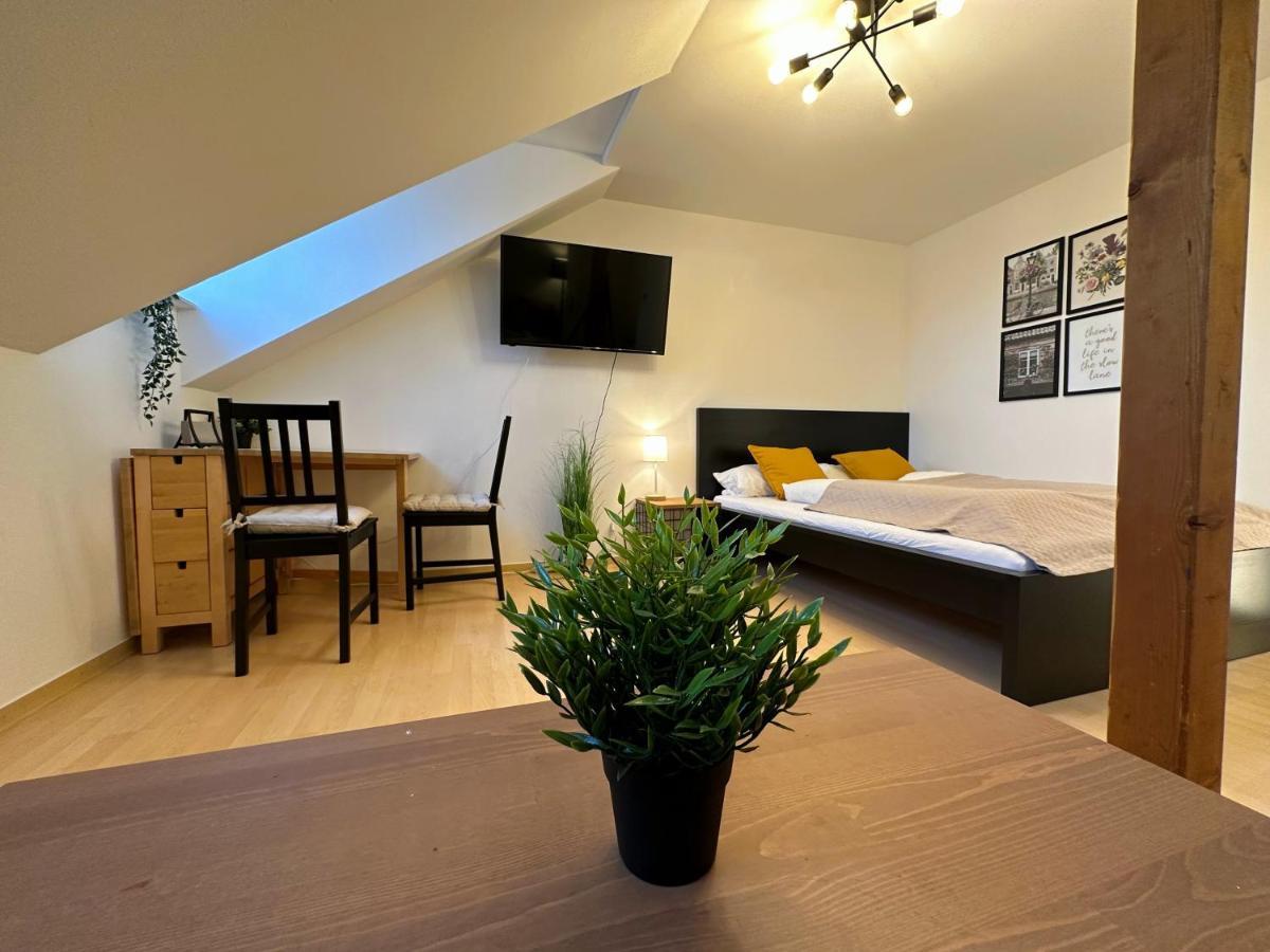 Gemuetliche, Charmante Ferienwohnung Naehe Zentrum Plauen Exterior foto